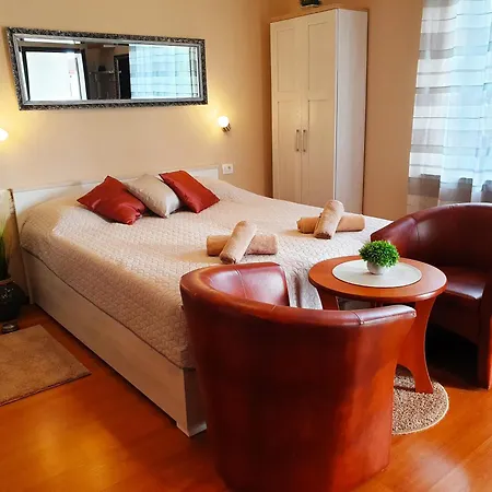 Apartment With Parking Space - 2285 Porec